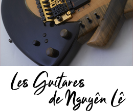 Les Guitares de Nguyên Lê, des réalisations de Julien Gendre