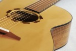 Bouton Guitares Acoustique (1)